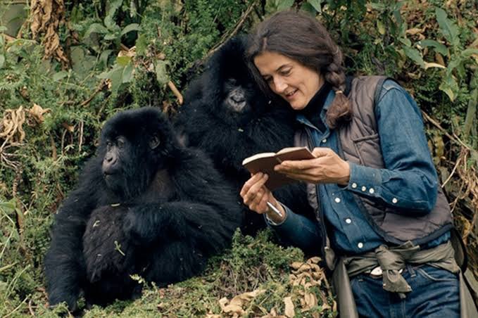 The Unexpected Dian&nbsp;Fossey